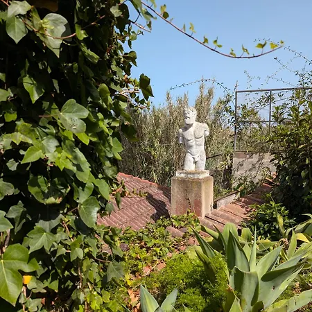 Bastion Del Drago * Arucas