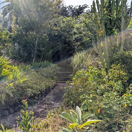 Daire Bastion Del Drago *