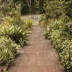 公寓 Bastion Del Drago 阿鲁卡斯