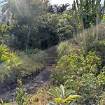 公寓 Bastion Del Drago *